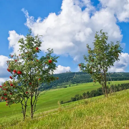 Hotel Am Roten Hammer Oberwiesenthal