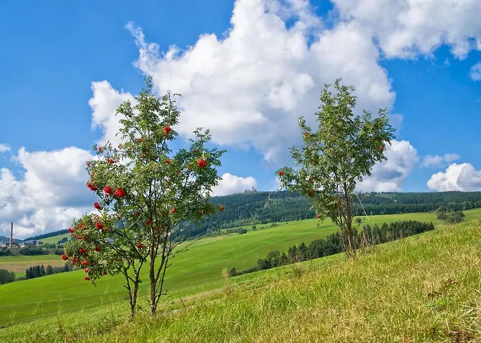 Hotel Am Roten Hammer Oberwiesenthal